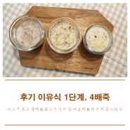 [후기이유식] 소고기 표고 양파 들깨 무른밥 & 닭고기 가지 밤 애호박 무른밥 & 대구살 배추 느타리 무른밥 (냄비 이유식)