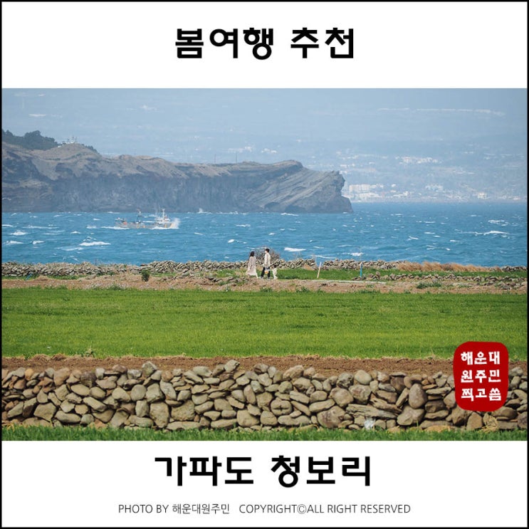 가파도 청보리 시즌 배시간 확인하고 여행 떠나볼까? : 네이버 블로그