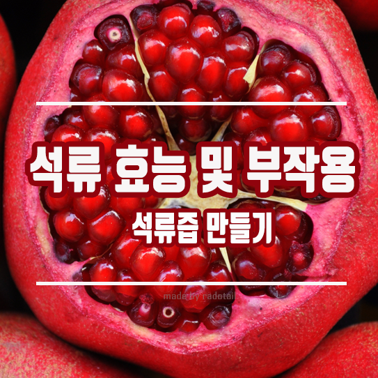 석류 효능 및 부작용: 석류즙 만들기 : 네이버 블로그