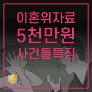 이혼위자료 5천만원이 나온 사건들의 공통점은?