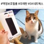 SK네트웍스 풀커버 우레탄 액정보호필름 구매 후기 2개 3750원