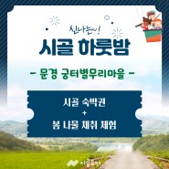 [경북 문경 시골 하룻밤] 산골마을 언택트 여행지 추천ㅣ시골 체험+숙박