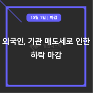 외국인, 기관 매도세로 인한 하락 마감