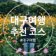 대구 여행 코스 정리 : 김광석 그리기 길, 청라언덕, 논공해바라기밭