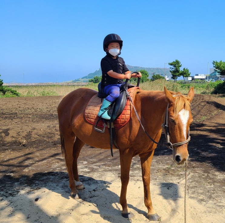 아이와승마체험 성산일출봉 졸띠체험승마 제주동쪽여행코스