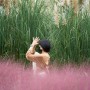 태안 청산수목원, 가을꽃 핑크뮬리와 팜파스의 계절
