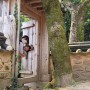 [강진 여행] 아이와 함께 백운동 정원에서 즐기는 힐링 산책