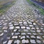 해외에서는 코로나 때문에 취소 연기되었던 대회가 재개된다고 합니다. 2021 파리-루베, Paris-Roubaix