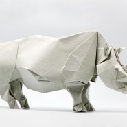 흰코뿔소