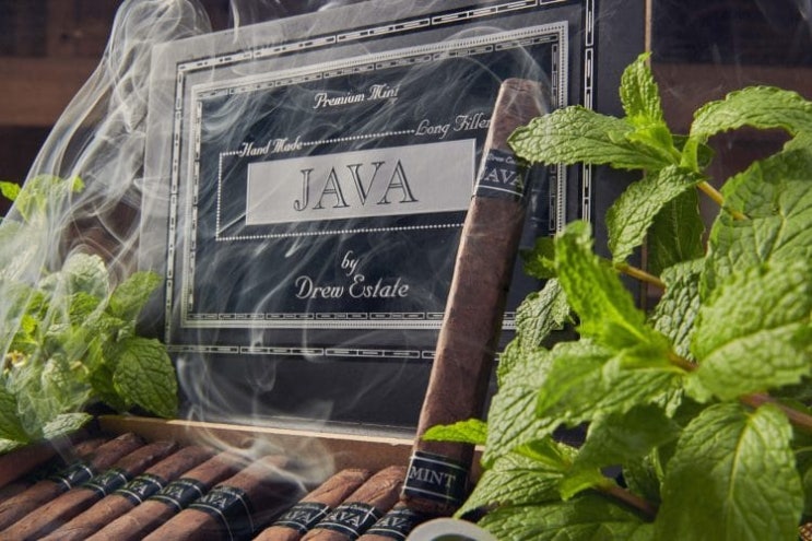 더바코에서만 만나볼 수 있는 Rocky Patel Cigar - Java Mint : 네이버 블로그