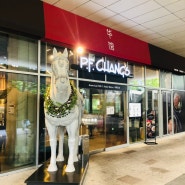 영등포 타임스퀘어 맛집 피에프창 P.F. CHANG'S 미국식 중식당