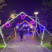 정읍 빛 축제 일부. 정읍사공원.아양사랑숲