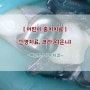 [송파소아치과] 유치 신경치료, 크라운(은니) / 어린이 충치치료