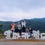 홍천 여행 알파카 월드 방문기