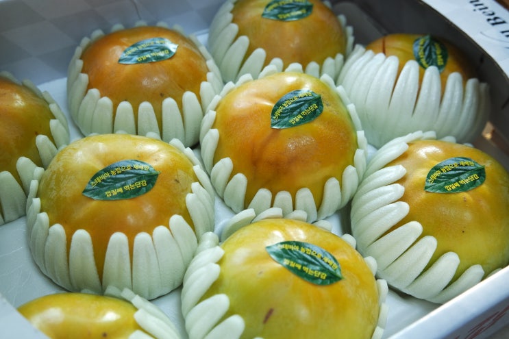 수농원 태추단감 배맛이 나는 단감 : 네이버 블로그