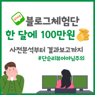 블로그체험단 한 달에 100만원 수익 달성, 업체 사전분석부터 결과보고까지(feat.단순리뷰어아님주의)