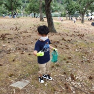 부산 기장 라벤더팜 밤줍기체험 아이와함께 가볼만한곳