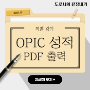 [OPIC 성적표 PDF/출력용] 크롬X, 익스플로러O