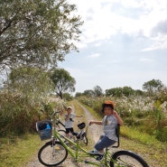 경남 아이와 가볼만 한 곳, 부산 대저 맥도생태공원, 아이와 이인용 자전거 즐기기