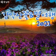 감악산 꽃&별 여행 2021, 가을꽃, 가을별빛의 감동과추억