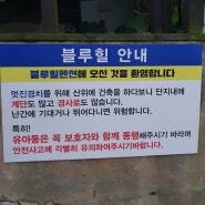 장봉도 펜션 해루질과 오션뷰 가능한 블루힐펜션