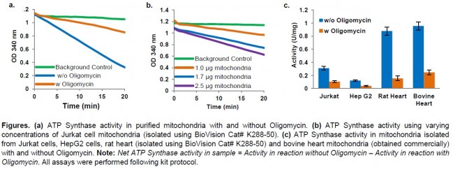 [미토콘드리아 ATP 생성효소 활성 분석 키트] Mitochondrial ATP synthase Activity Assay ...