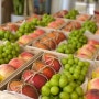 [경기 평택][10/15] 과일이 너무 맛이 좋은! 과일 전문 '숲속과일' 체험단모집