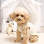 강아지 옷 만들기 : 코지독 강아지옷 DIY 키트