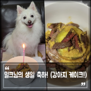 강아지 생일 파티! 생일 케이크 만들기, 귀여운 강아지 밀크의 생일