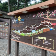 드디어 가봤다! 예약하기 어려운 가을 신불산 군립공원 작천정 별빛야영장(A46데크) 캠핑장 후기.