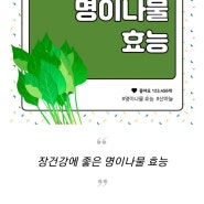 (365걷기사랑) 당뇨에 좋은 산마늘