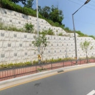 네일링 + 패널식옹벽 절토부옹벽 부지확장 구조물공사