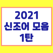 2021 신조어 오조오억 허버허버 웅앵웅 빌런 마타도어 딸배 뜻