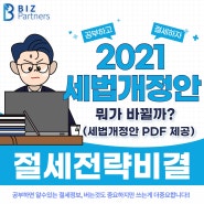 2021년 세법개정안 바뀌는 내용 (PDF 파일제공)