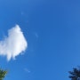 2021년 10월 13일 오늘의 하늘 :: 두부구름