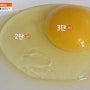 서민갑부 달걀 계란 황한솔 갑부 당진 한솔양계 맘란