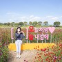 전남 가볼만한곳 장성 황룡강 생태공원 10억 송이 꽃 구경