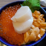 삿포로 여행 : 니조 시장 - 신선한 해산물 덮밥(카이센동) 맛집, 오이소(大磯, OHISO)
