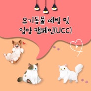 [별★전시] 유기동물 예방 및 입양 캠페인(UCC)