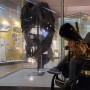 [목포 여행] 아이와 함께 목포 자연사박물관에서 곤충부터 공룡까지 한 번에 만나보기