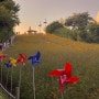 올림픽공원 들꽃마루 핑크뮬리 코스모스 피크닉 (위치, 주차, 가는 법)