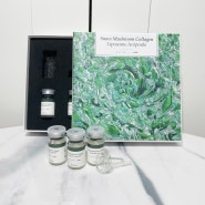 식물성 콜라겐 흰목이버섯 앰플 주름 개선 화장품
