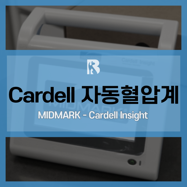 신규 장비 소개 : 카델 인사이트 자동 혈압계 (MIDMARK - Cardell Insight) : 용인 24시 블레스동물메디컬 ...