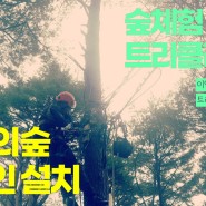 이안의숲 숲학교 짚라인 설치 [트리클라이밍연구소]