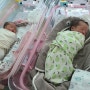 아산병원제왕절개분만후기 쌍둥이 37주1일 전치태반산모