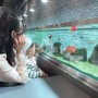 기흥 수족관카페 아이와 가볼만한곳 추천, 아쿠아가든! 물고기러버들 모여라