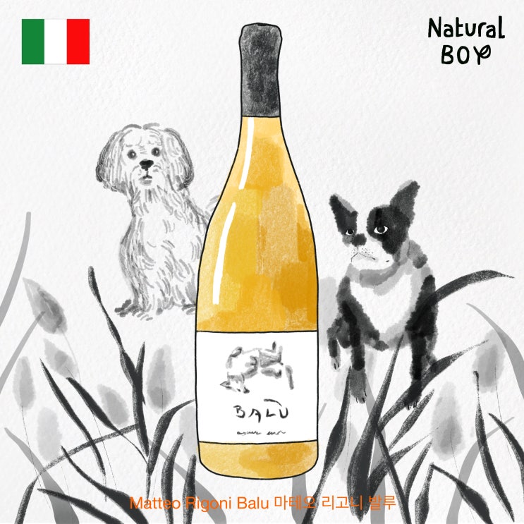 Matteo Rigoni Balu (white) 마테오 리고니 발루 : 네이버 블로그