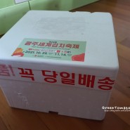 [광주김치 서포터즈] 김치찜과 김치치즈전으로 행복한 홈파티!