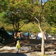 [첫 번째 캠핑] 영월 상우 농장 캠핑장/가을 느낌 물씬~ 너무 좋았어요!!