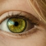 안구건조증 자가 진단 테스트, 원인, 눈 건강에 좋은 음식 추천